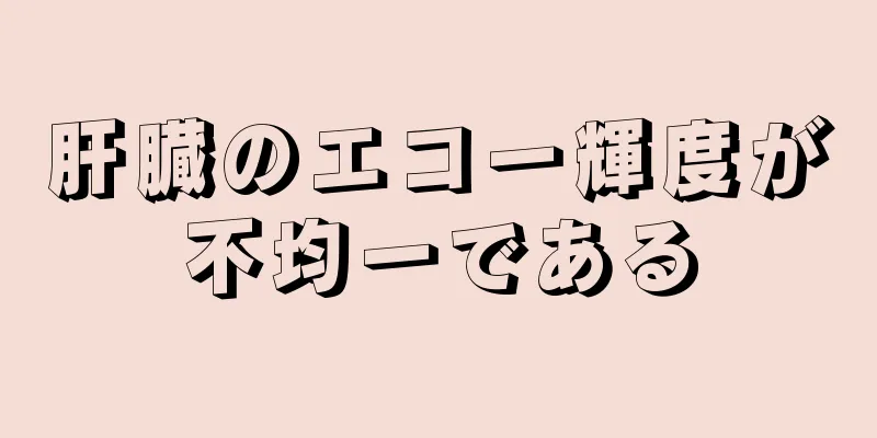 肝臓のエコー輝度が不均一である