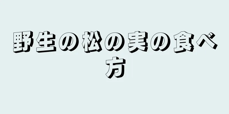 野生の松の実の食べ方