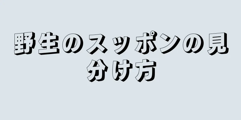 野生のスッポンの見分け方