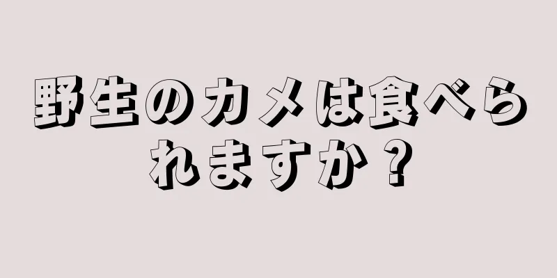 野生のカメは食べられますか？