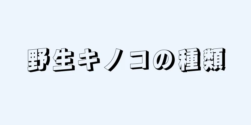 野生キノコの種類