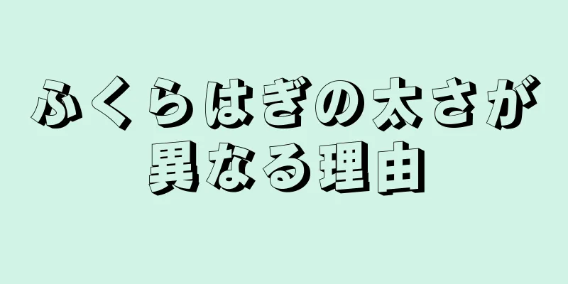 ふくらはぎの太さが異なる理由