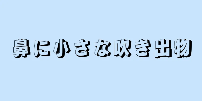 鼻に小さな吹き出物