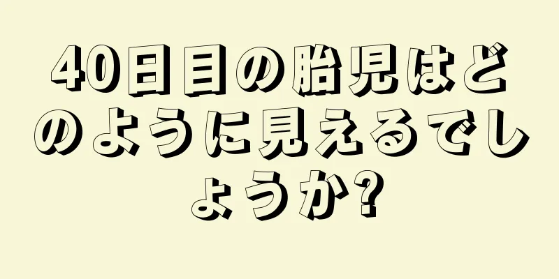 40日目の胎児はどのように見えるでしょうか?