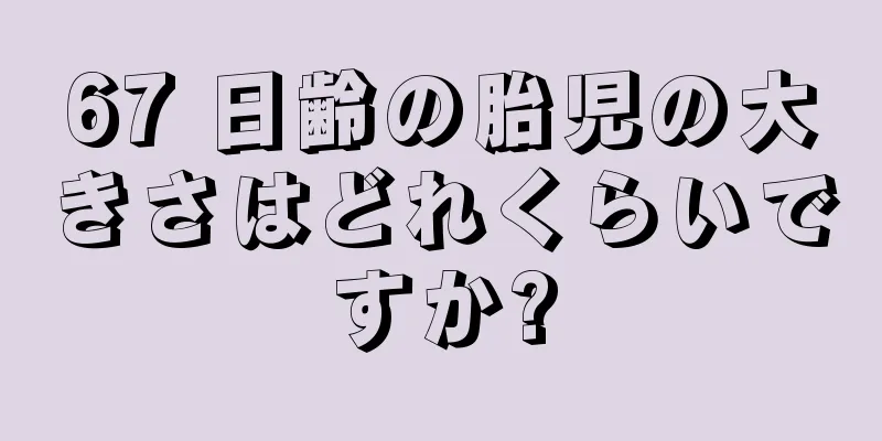 67 日齢の胎児の大きさはどれくらいですか?