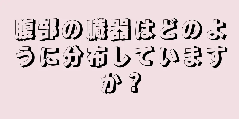 腹部の臓器はどのように分布していますか？