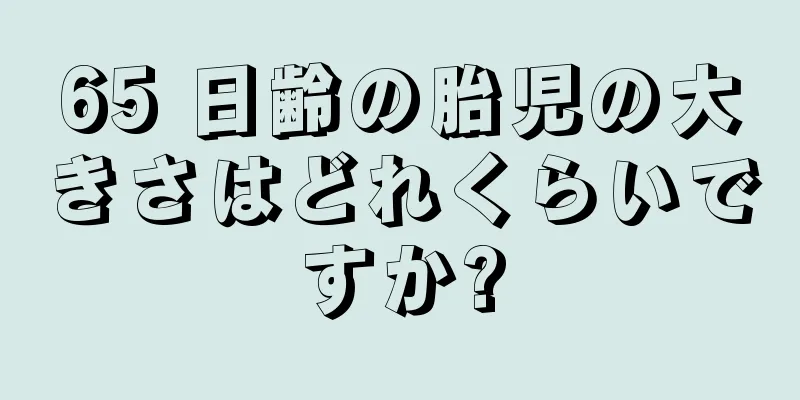 65 日齢の胎児の大きさはどれくらいですか?