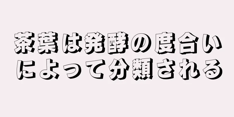 茶葉は発酵の度合いによって分類される