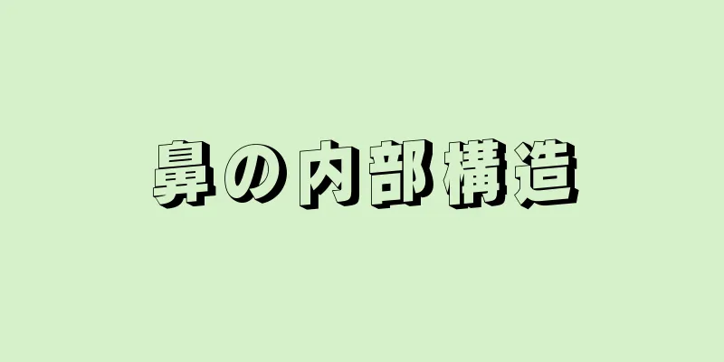 鼻の内部構造