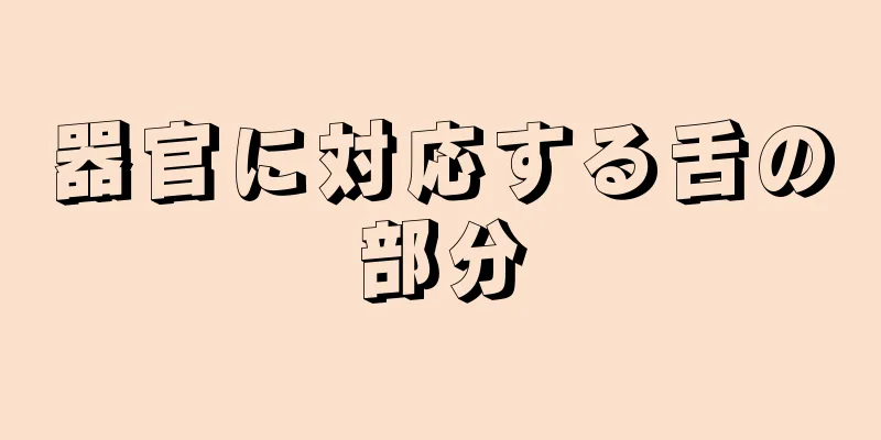 器官に対応する舌の部分