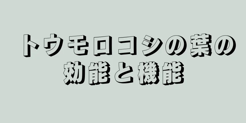 トウモロコシの葉の効能と機能