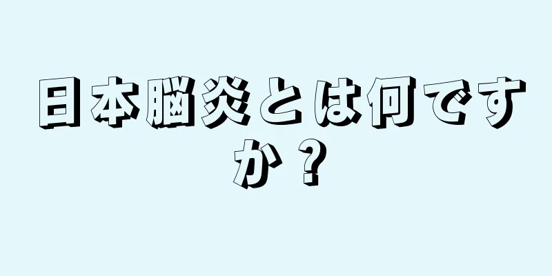 日本脳炎とは何ですか？