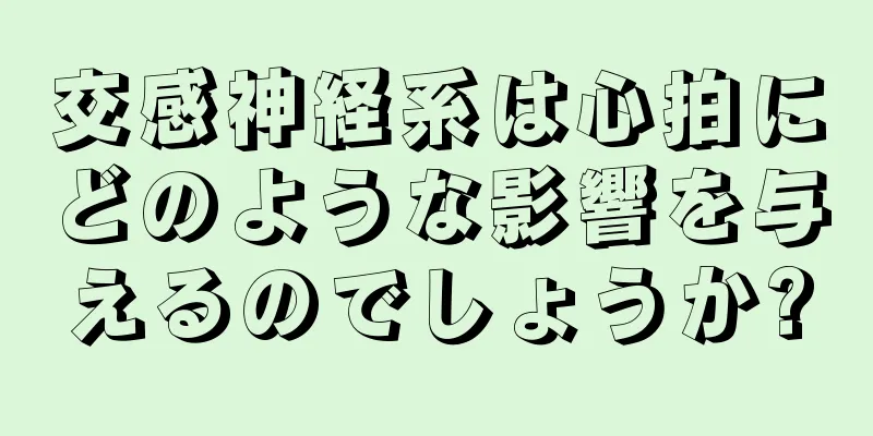 交感神経系は心拍にどのような影響を与えるのでしょうか?