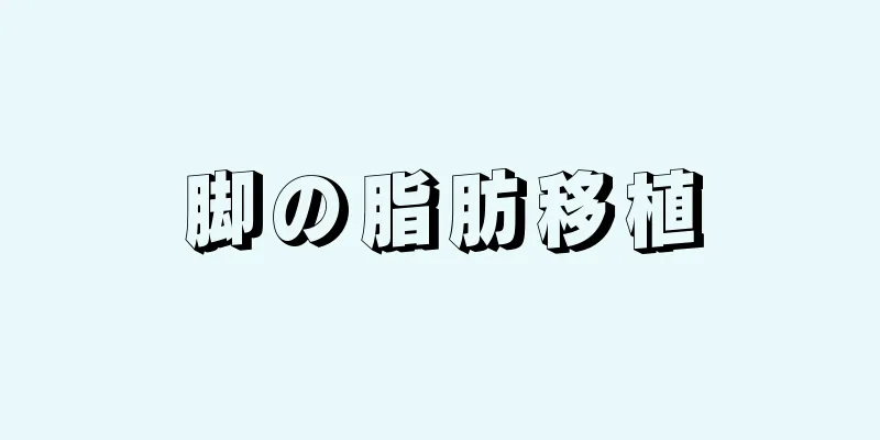 脚の脂肪移植