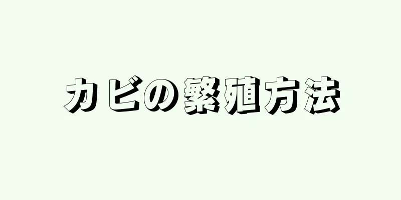 カビの繁殖方法