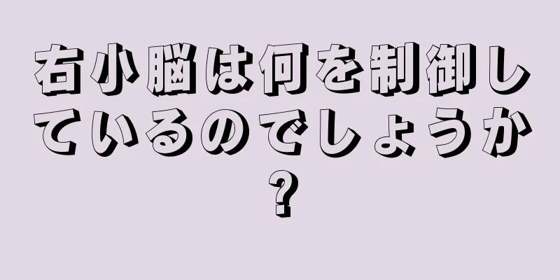 右小脳は何を制御しているのでしょうか?