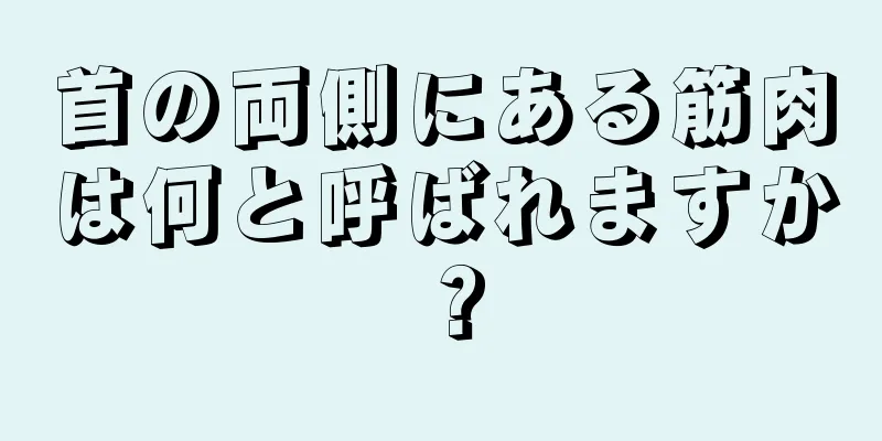 首の両側にある筋肉は何と呼ばれますか？