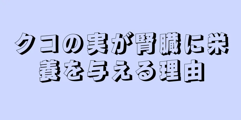 クコの実が腎臓に栄養を与える理由