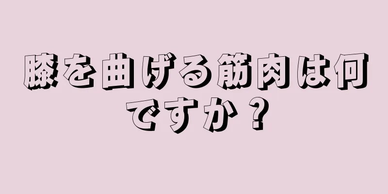 膝を曲げる筋肉は何ですか？