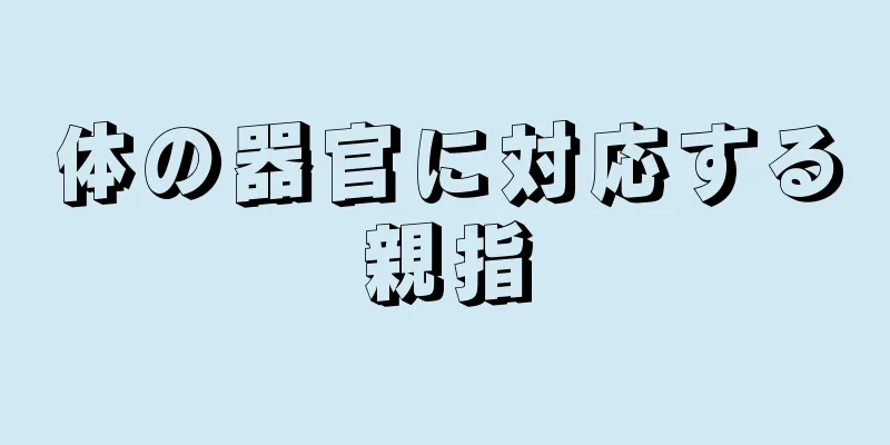 体の器官に対応する親指