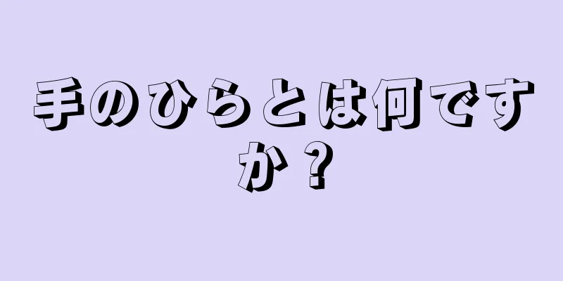 手のひらとは何ですか？