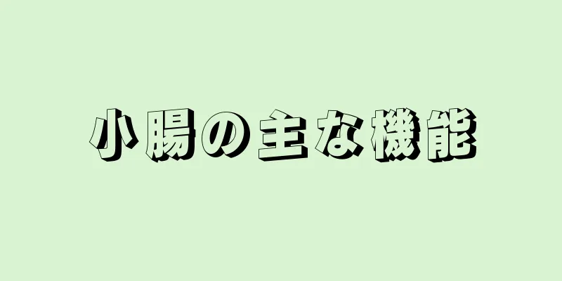 小腸の主な機能