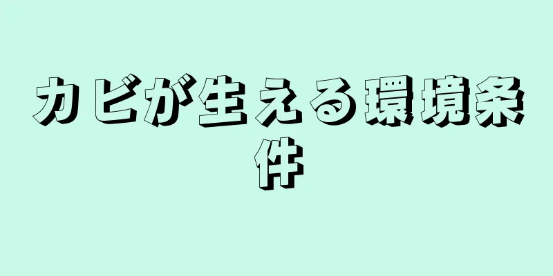 カビが生える環境条件