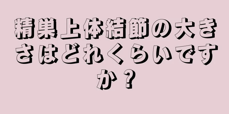 精巣上体結節の大きさはどれくらいですか？