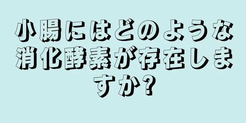 小腸にはどのような消化酵素が存在しますか?