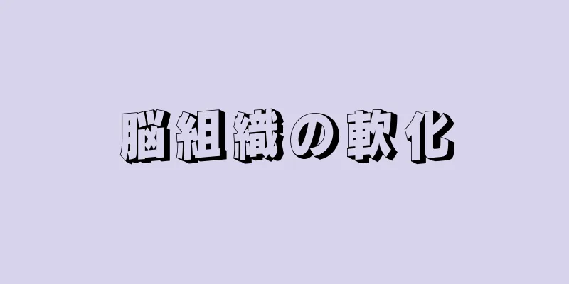 脳組織の軟化