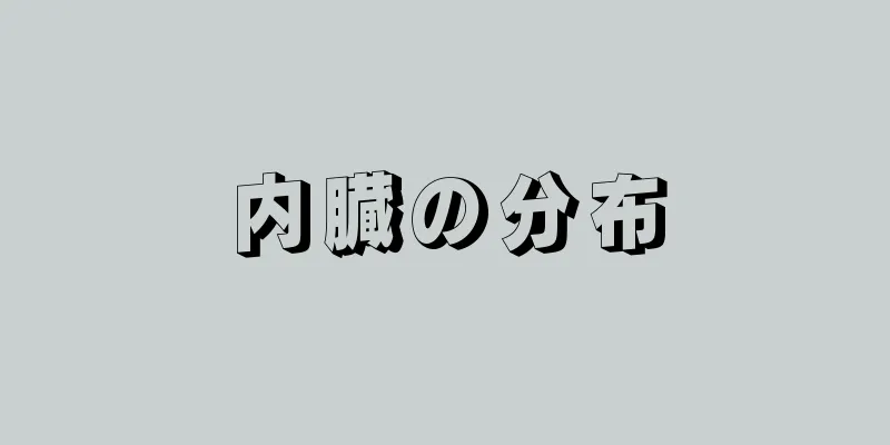 内臓の分布