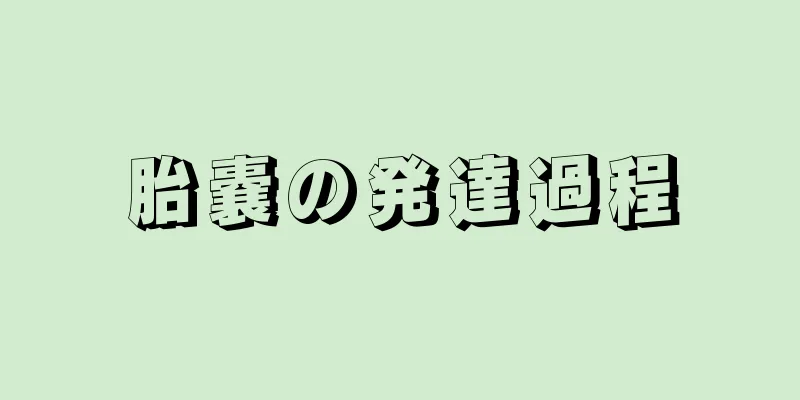 胎嚢の発達過程