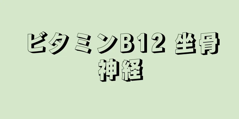 ビタミンB12 坐骨神経