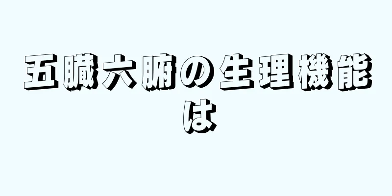 五臓六腑の生理機能は