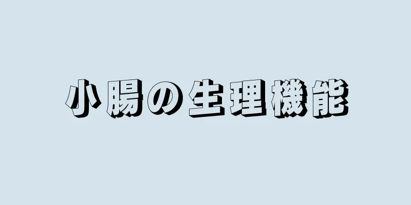 小腸の生理機能