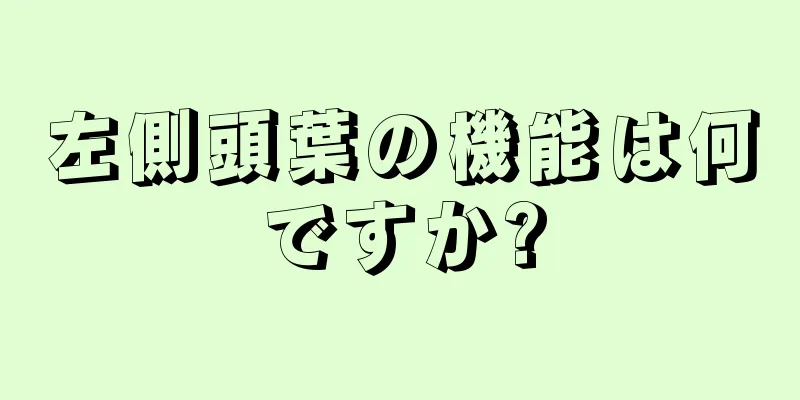 左側頭葉の機能は何ですか?