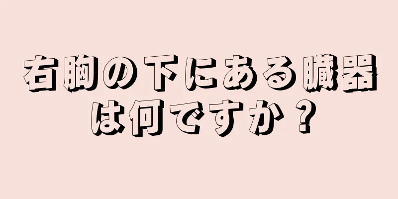 右胸の下にある臓器は何ですか？