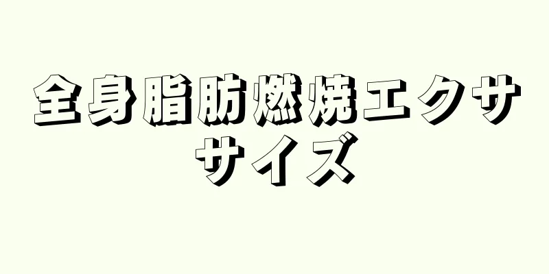 全身脂肪燃焼エクササイズ