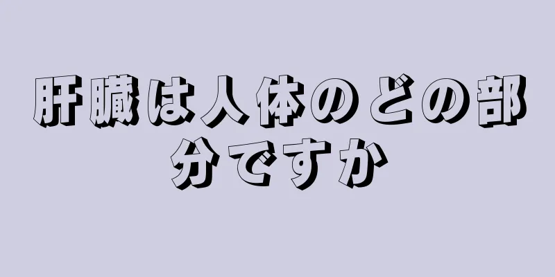 肝臓は人体のどの部分ですか