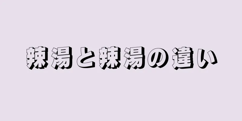 辣湯と辣湯の違い