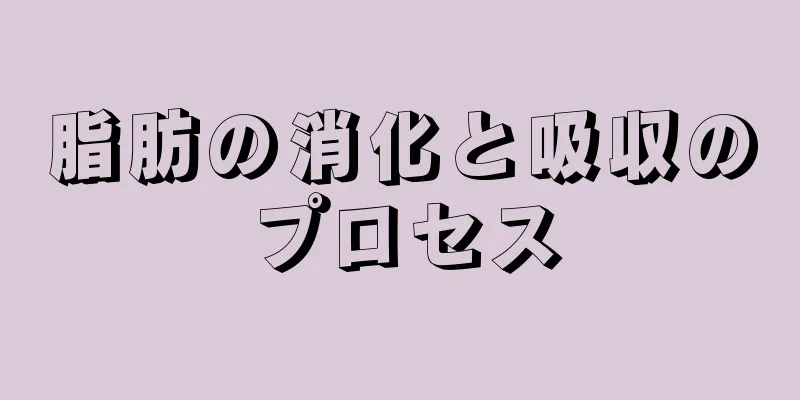 脂肪の消化と吸収のプロセス