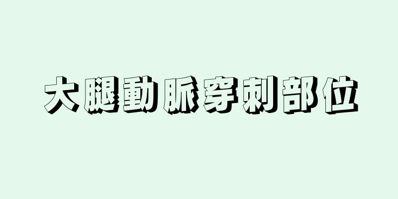 大腿動脈穿刺部位