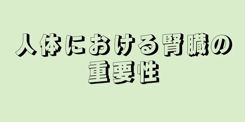 人体における腎臓の重要性