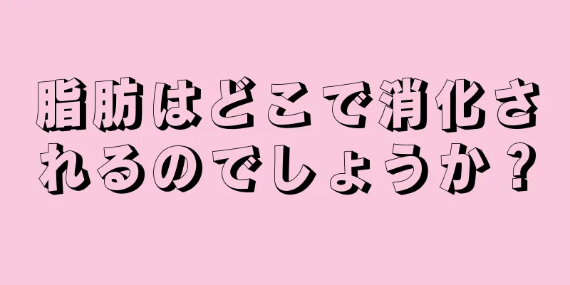 脂肪はどこで消化されるのでしょうか？