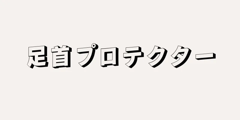 足首プロテクター