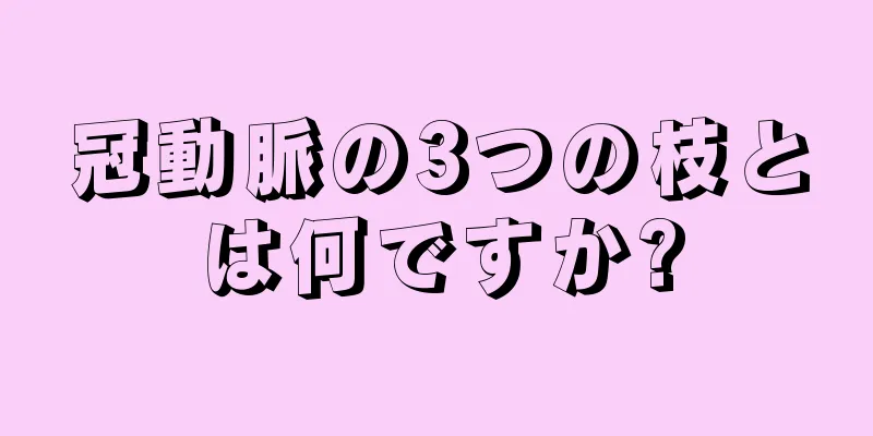 冠動脈の3つの枝とは何ですか?