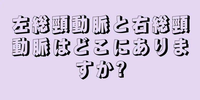 左総頸動脈と右総頸動脈はどこにありますか?