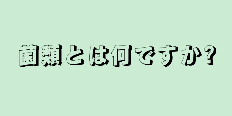 菌類とは何ですか?