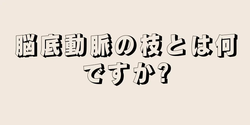 脳底動脈の枝とは何ですか?