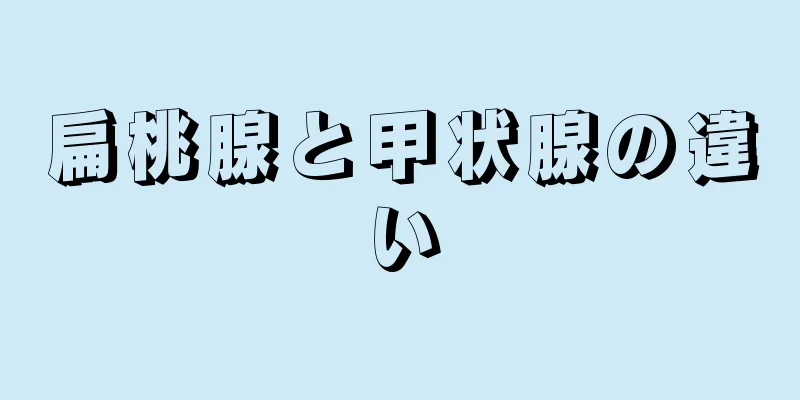 扁桃腺と甲状腺の違い